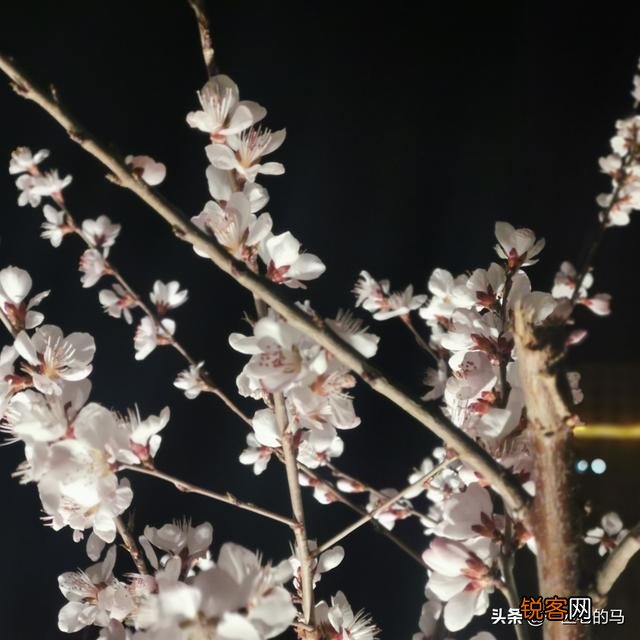 嫂子总爱背后说小姑子的不是,小姑子该怎么办？