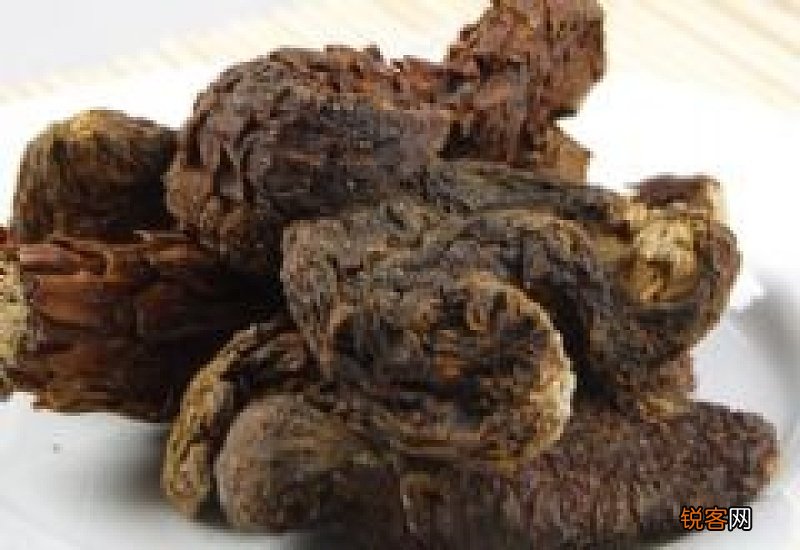 黄精肉苁蓉泡水喝功效 油苁蓉和肉苁蓉哪个好