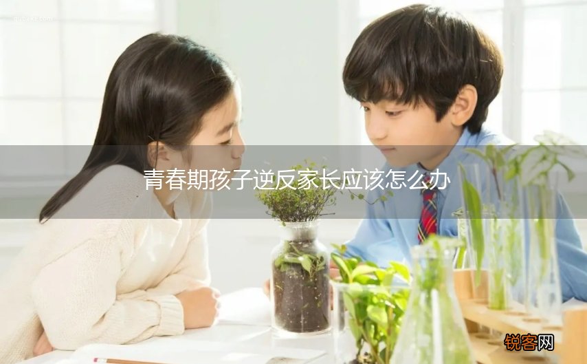 青春期孩子逆反家长应该怎么办