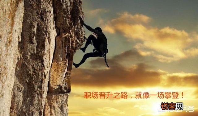 为何很多职场人士止步中层？
