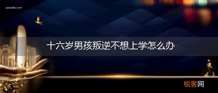 十六岁男孩叛逆不想上学怎么办