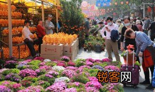 描写迎春花的优美句子 描写迎春花的优美句子有哪些