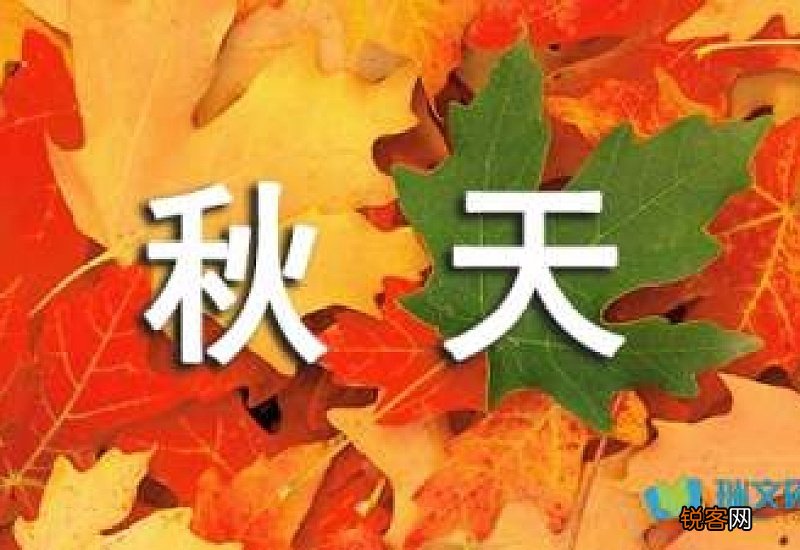 我爱秋天作文 多彩的秋天作文300字