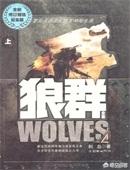 哪部军事小说称得上神作？