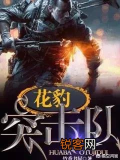 有什么质量高的军事,兵王小说？