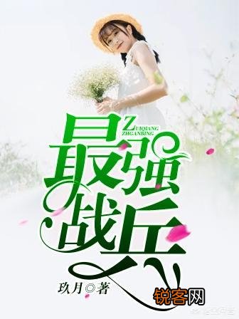 有没有类似《兵者为王》这样热血的军事小说可以推荐？
