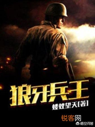 有没有类似《兵者为王》这样热血的军事小说可以推荐？