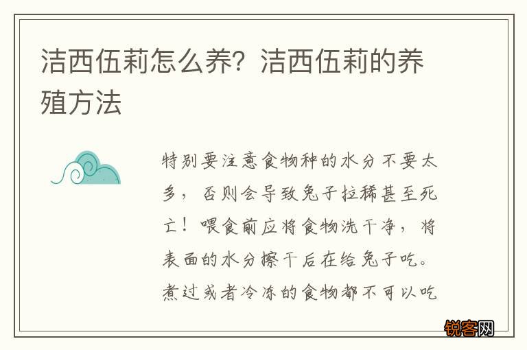 洁西伍莉怎么养？洁西伍莉的养殖方法