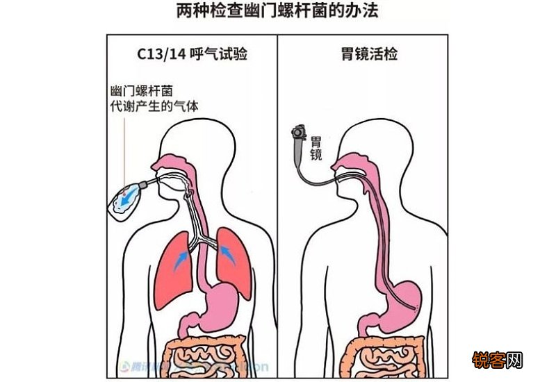 水猴子能自愈吗