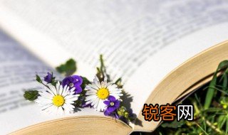 邓稼先的主要内容 邓稼先的主要内容是什么