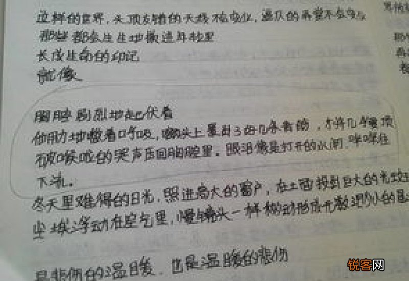 温暖为话题写作文经典