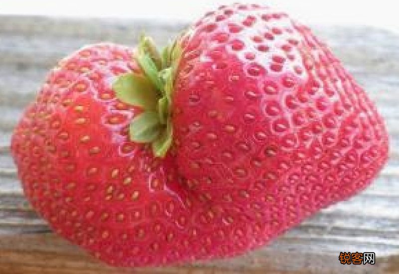 草莓是白色的是不是没熟