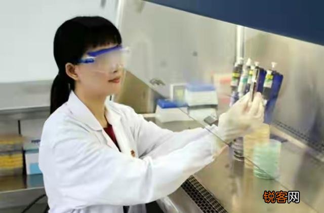 南京大学5位研究生连续非正常死亡,谁能挽救崩溃的人生？