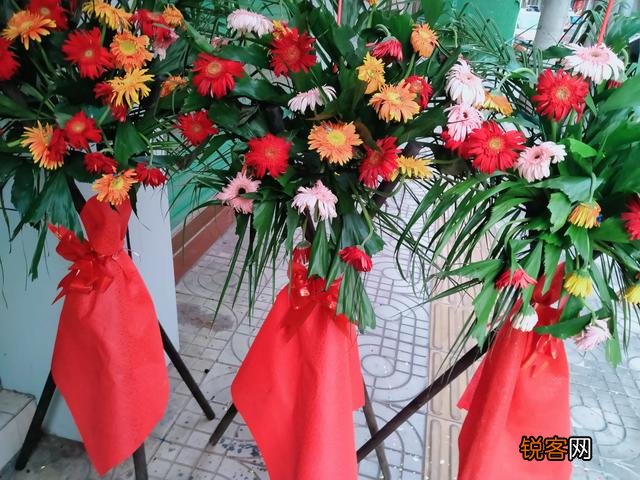 南京大学5位研究生连续非正常死亡,谁能挽救崩溃的人生？