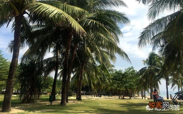 从成都去海南应该怎样安排行程？有没有吃住玩的好地方可以推荐？