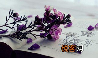 插叙在文中起的作用是什么 插叙在文中起的作用介绍