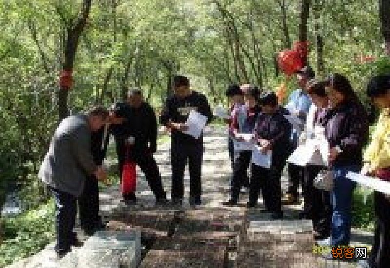 黄鼠狼报恩真实故事