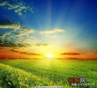 岂曰无衣与子同裳是什么意思？你怎么看？