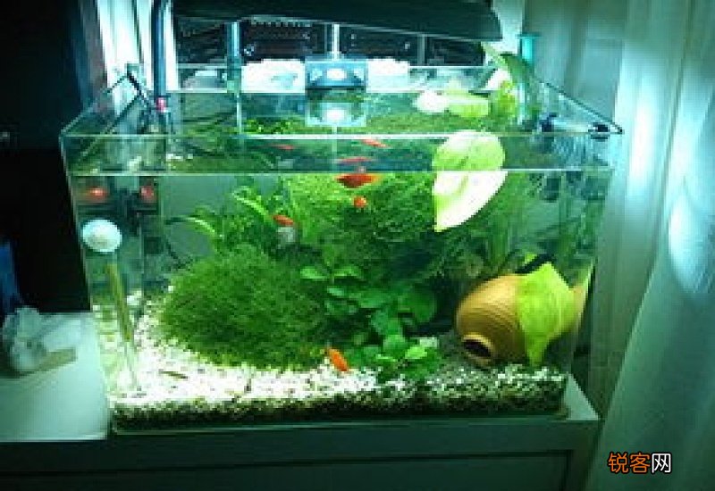 鱼缸不要了怎么处理好风水