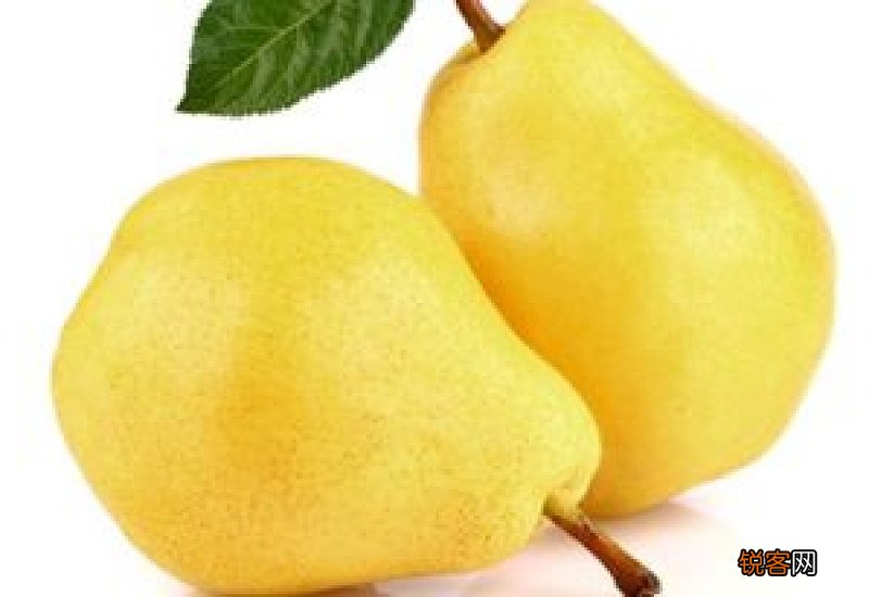 梨子是热性还是凉性 梨子是温性还是寒性