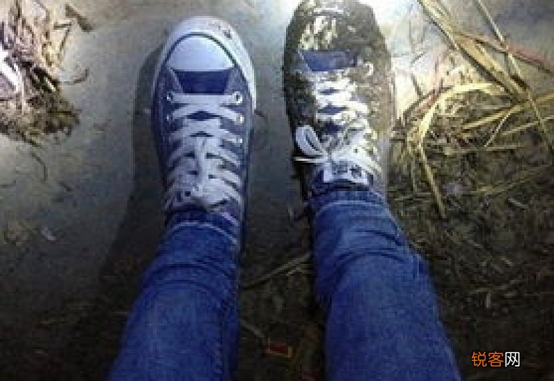 梦见踩到屎是什么意思周公解梦