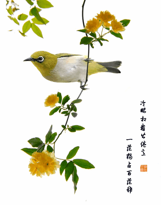 读了那么多年的文言文,哪些文章令你感动？为什么？