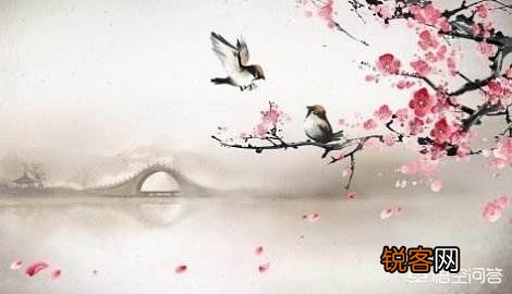 文言文是否比白话文更精炼？