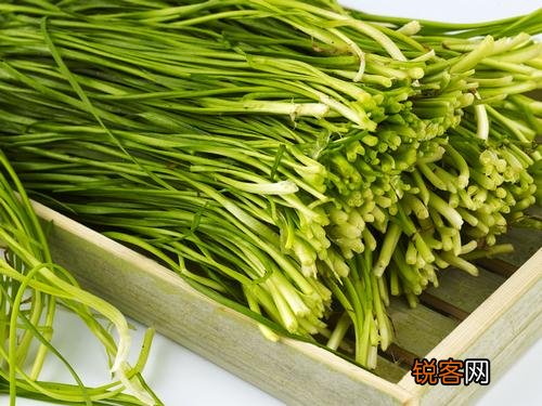 胖人养生吃什么蔬菜好