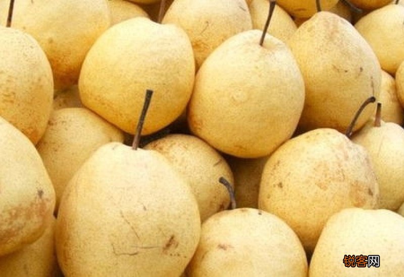 梨子有什么功效作用 梨子的功效作用有哪些