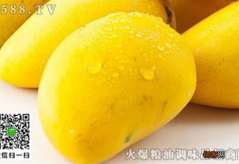 芒果属于凉性还是热性水果