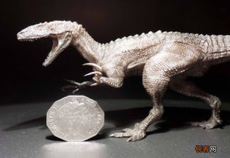 三角龙吃什么食物呢