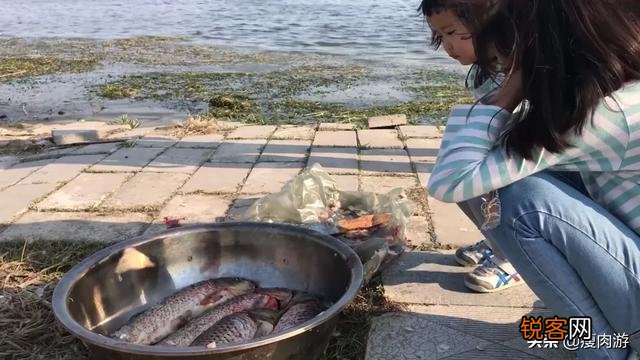 从天津出发自驾2日游,带孩子和老人,200公里左右路程,哪些地方可以游玩？