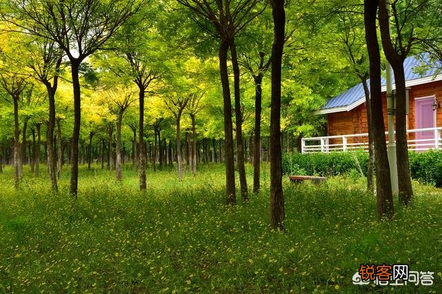 从天津出发自驾2日游,带孩子和老人,200公里左右路程,哪些地方可以游玩？