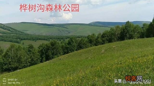 天津,周末两天自驾游,可以周五晚上出发,有什么好的推荐吗？