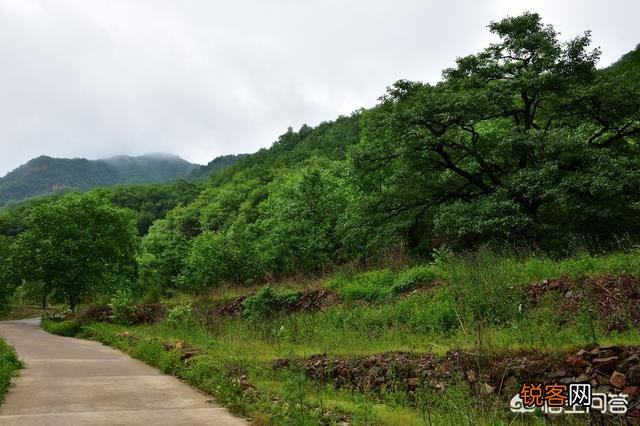 从天津出发,两日游有什么地方值得推荐？