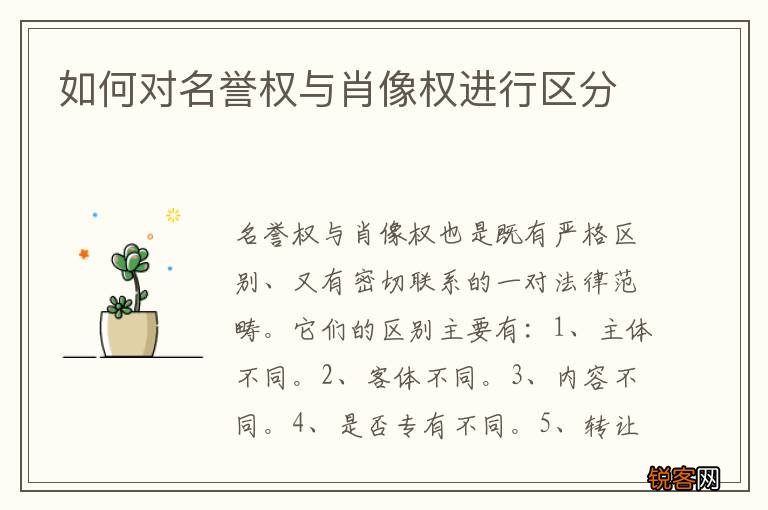如何对名誉权与肖像权进行区分