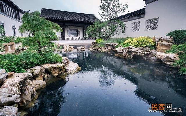 “ 闲花开石竹,幽叶吐蔷薇”的古诗意境如何拍摄？