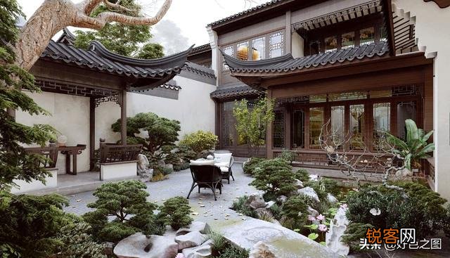 “ 闲花开石竹,幽叶吐蔷薇”的古诗意境如何拍摄？