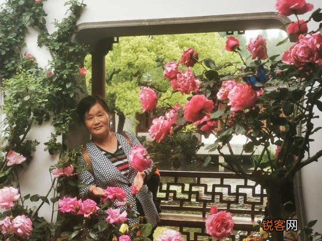 “ 闲花开石竹,幽叶吐蔷薇”的古诗意境如何拍摄？