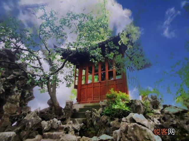 “ 闲花开石竹,幽叶吐蔷薇”的古诗意境如何拍摄？