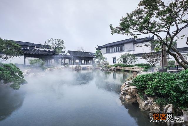 “ 闲花开石竹,幽叶吐蔷薇”的古诗意境如何拍摄？