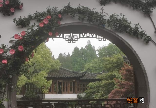 “ 闲花开石竹,幽叶吐蔷薇”的古诗意境如何拍摄？