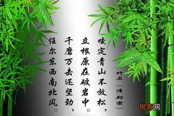 咬定青山不放松立根原在破岩中是不是题画诗？