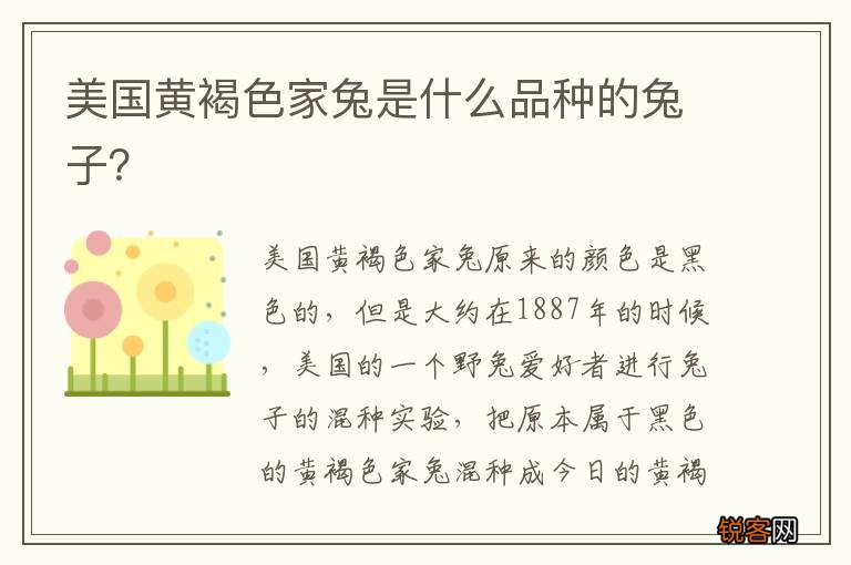 美国黄褐色家兔是什么品种的兔子？