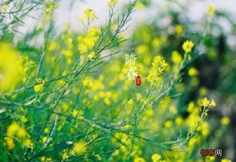 踏青是什么节日的风俗