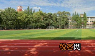运动会感受 运动会有什么感受