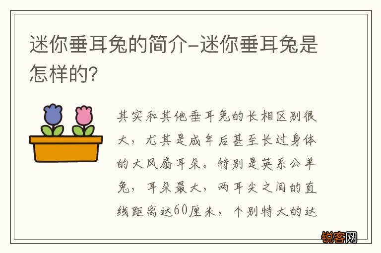 迷你垂耳兔的简介-迷你垂耳兔是怎样的？