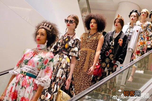 杜嘉班纳和古驰哪个更好？