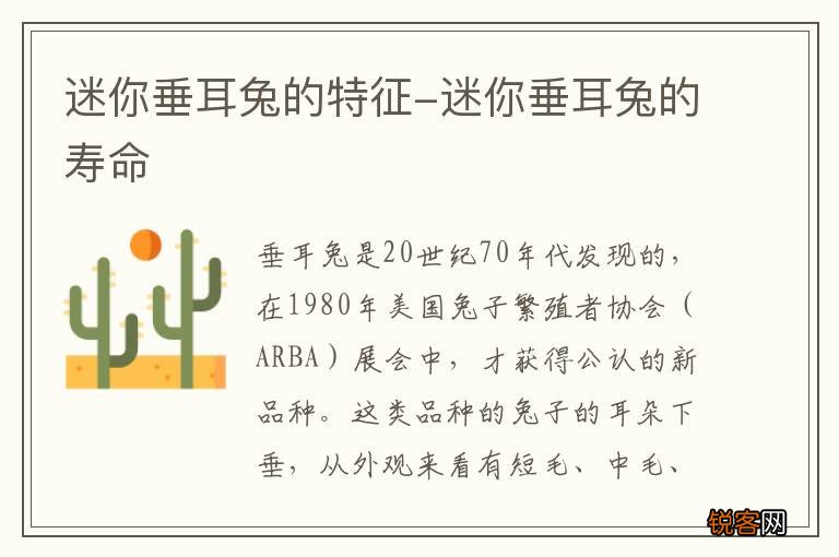 迷你垂耳兔的特征-迷你垂耳兔的寿命