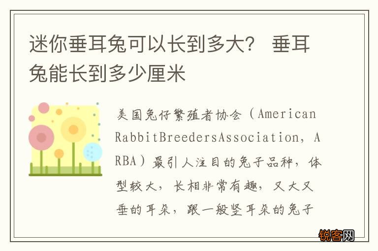 迷你垂耳兔可以长到多大？ 垂耳兔能长到多少厘米